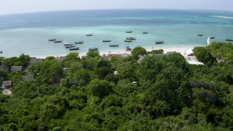 boats anchored in tropical fishing village harbor beyond rainforest