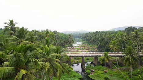 una fotografía aérea de un bosque exuberante en kerala con densos cocoteros y un río sereno que serpentea a través de él.