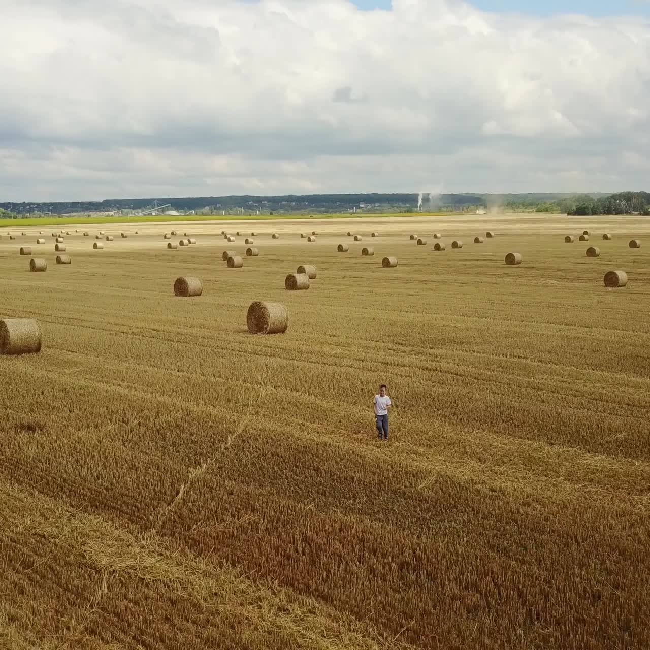 Child Boy In The Field