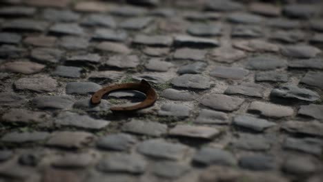 one old rusty metal horseshoe