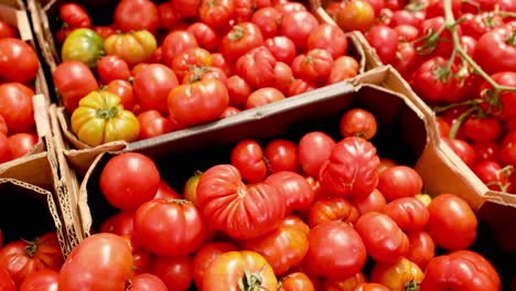 various tomatoes displayed at a market stall