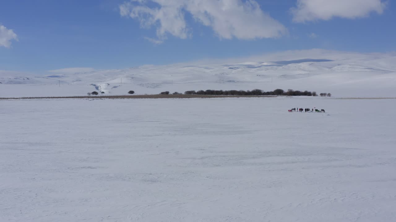 Horses on Cildir Lake circled by aerial drone in Turkey