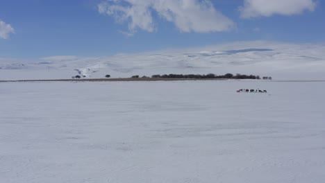 Caballos-En-El-Lago-Cildir-Rodeados-Por-Drones-Aéreos-En-Turquía