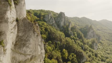 beautiful sharp rocks located in the green forest with deciduous trees