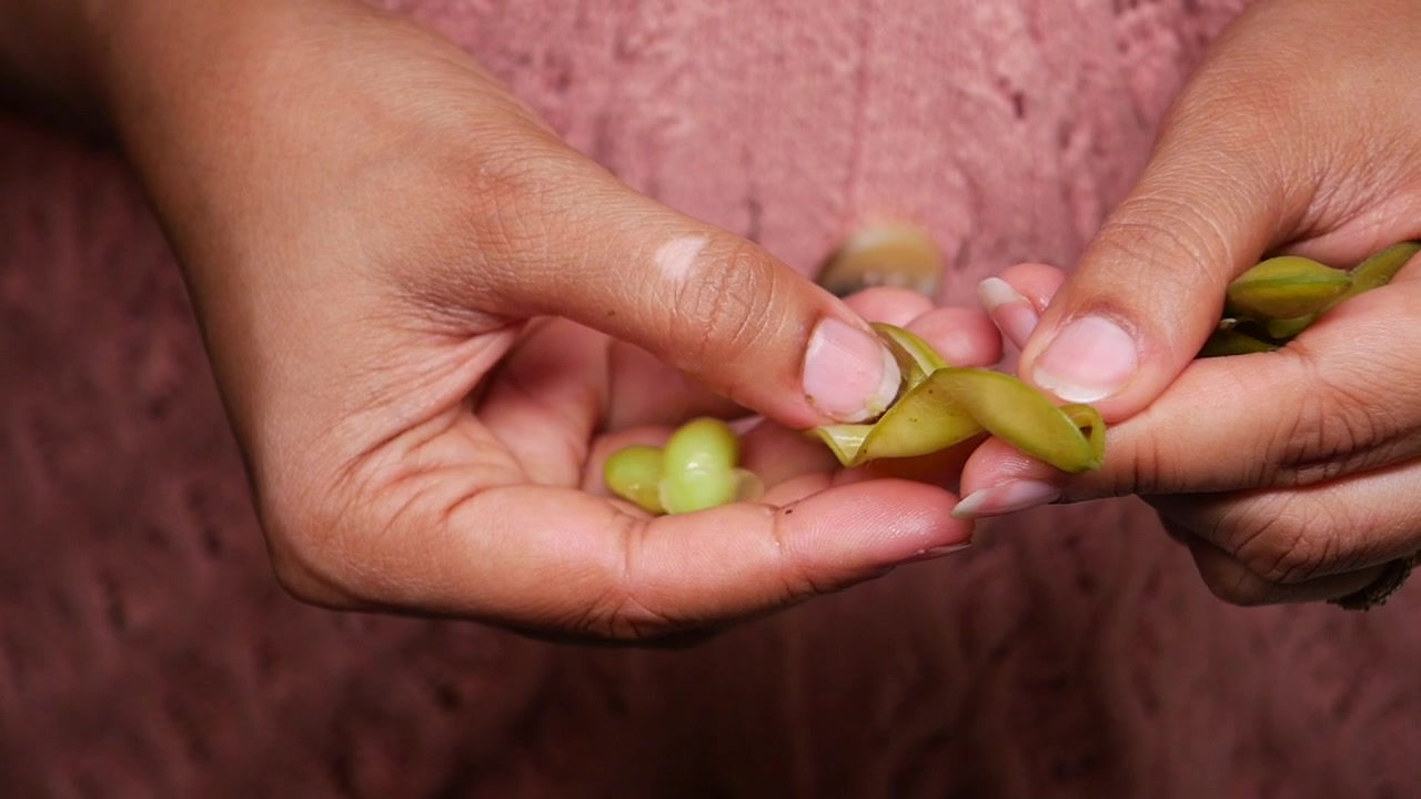 Persona che sguscia fagioli edamame freschi dal baccello