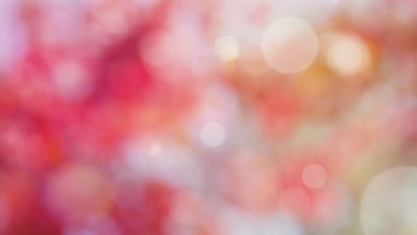 Abstract spring background with bokeh
