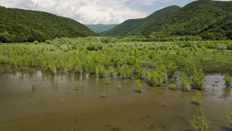 Tkibuli-See-Stausee-Mit-Nebenfluss-Und-üppiger-Vegetation