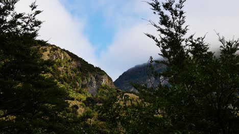 Montañas-Nubladas-Con-árboles-En-Primer-Plano