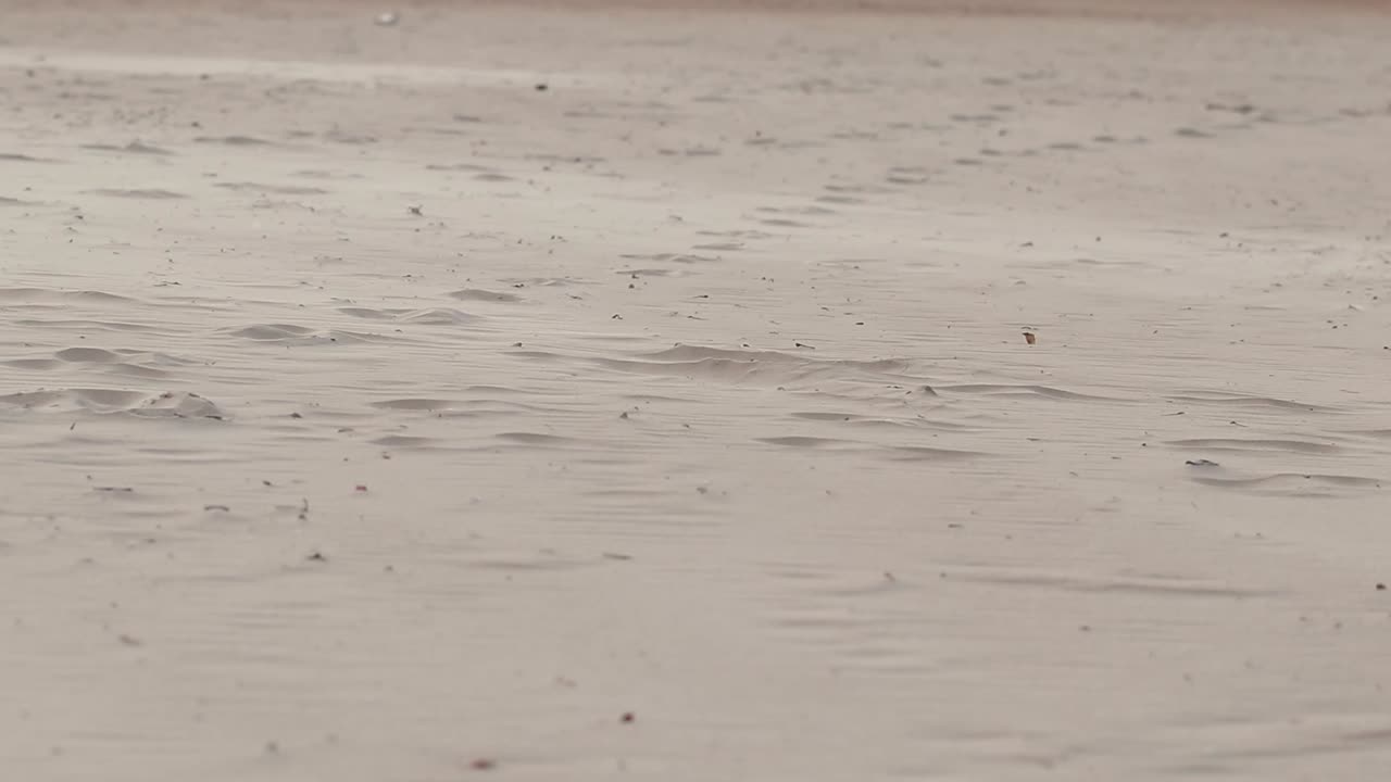 바람에 날리는 해변에서 지상 위로 날아가는 바람 속의 모래와 먼지