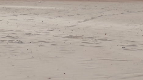 sand and dust in the wind flying over the ground level at the beach blown by the wind