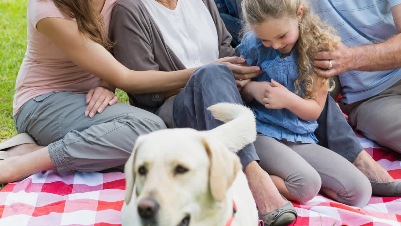 행복한 백인 다세대 가족이 공원에서 애완견과 함께 피크닉 담요에 앉아 있습니다.