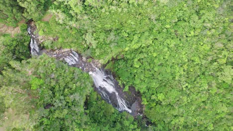 una cascada en cascada en medio de la vegetación exuberante en el sur de mauricio, escena de naturaleza tranquila, vista aérea