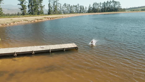 aerial view young woman jumping off jetty in lake splashing in water enjoying freedom