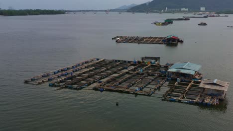 aerial drone flyover capturing floating fish farms, traditional aquaculture, breeding, rearing, cultivating and harvesting of fish and shellfish in water environments