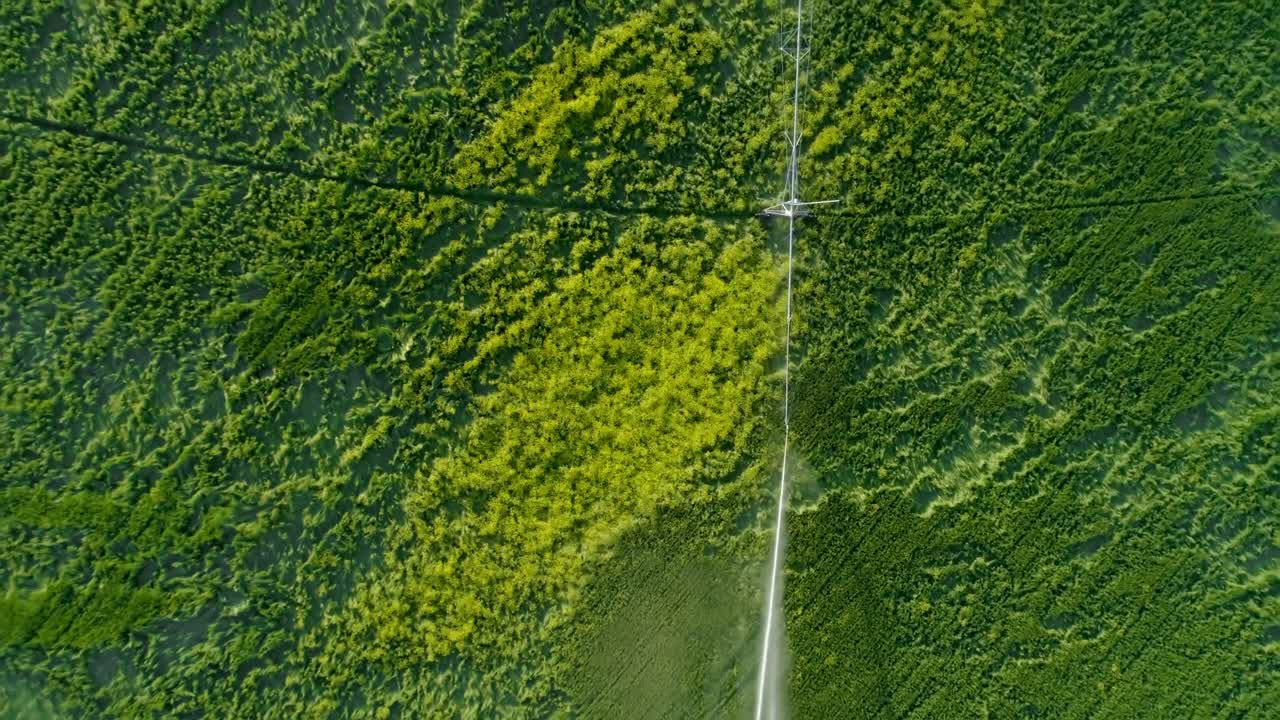 riego de los cultivos verdes 4k