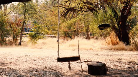 columpio de cuerda para niños vacío y espeluznante colgando del árbol rodante disparo de seguimiento a la derecha