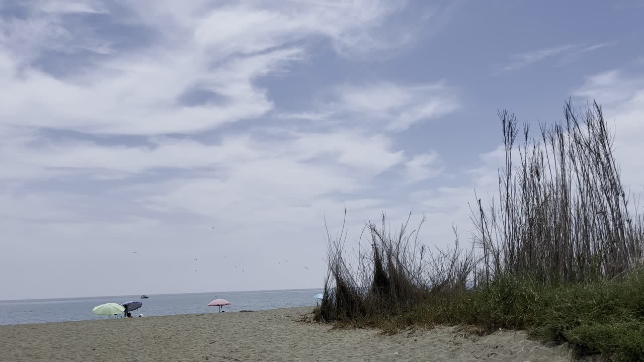 파란 하늘에 있는 새들, 모래 해변에 있는 몇 명의 사람들과 함께 말라가 하늘의 해변 위에