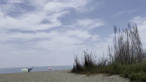 Birds in the blue sky over a beach in the sky of Malaga with a few people on the sandy beach