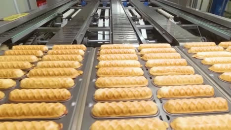 mass production packaging of pastry gourmet hand-shredded bread products