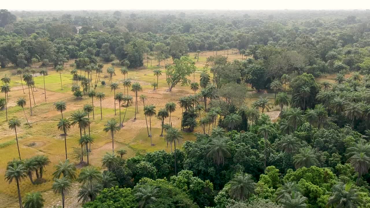 toma de drones de bosques y tierras agrícolas en senegal áfrica