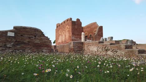 capitolio, templo romano ubicado en ostia antica, un sitio arqueológico enorme y mundialmente famoso de la antigua roma con flores en primer plano