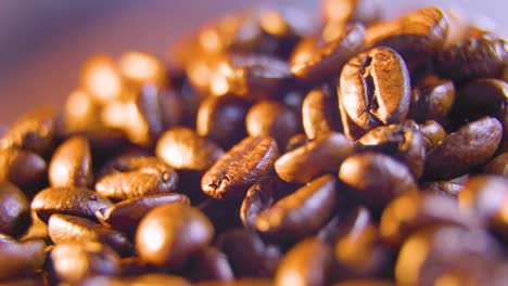 close up of roasted coffee beans spinning seeds of coffee.