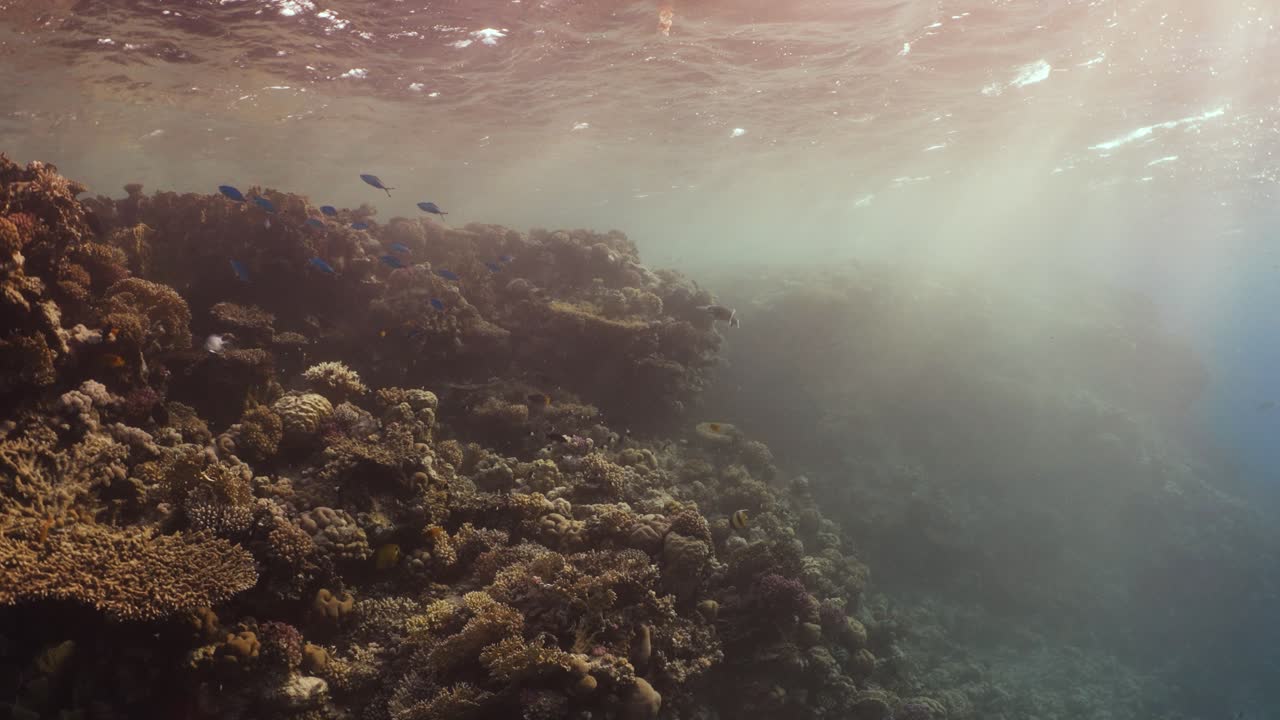 Underwater landscape with rays of sunlight moving through the water in 4k