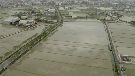 yilan county aerial view above rice paddy fields - rural farming village settlement houses in taiwan