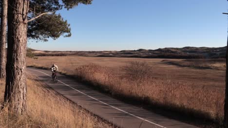person riding road bicycle in sunny hilly landscape