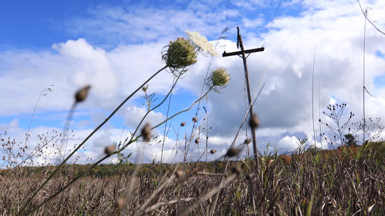 하늘과 가을의 전화선