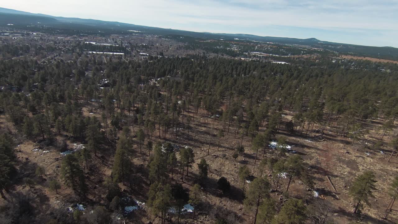 dando vueltas cerca del borde del bosque y la civilización