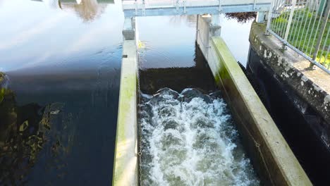 close up shot of the flowing thetford little river in norfolk, england on a sunny day