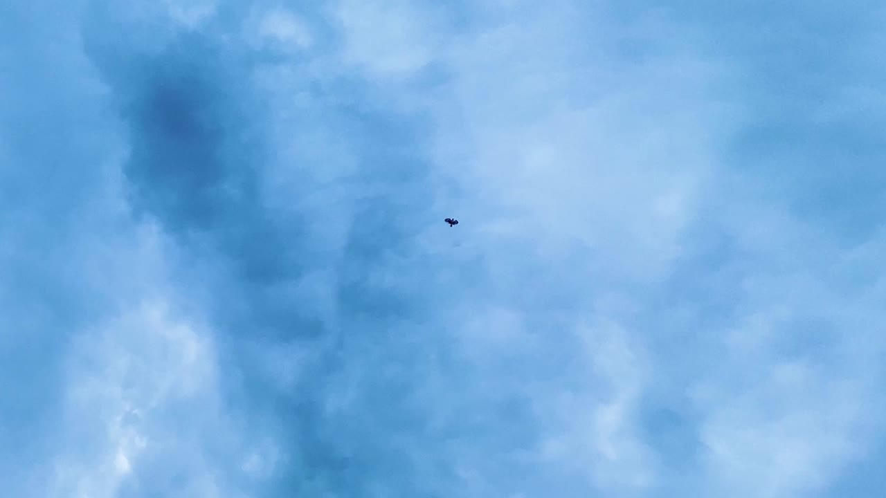 Silhouette of a flying eagle soaring against the blue sky with clouds during the day