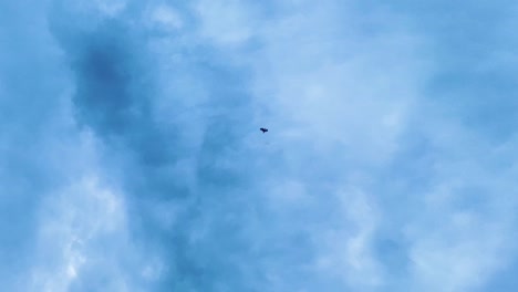 silhouette of a flying eagle soaring against the blue sky with clouds during the day