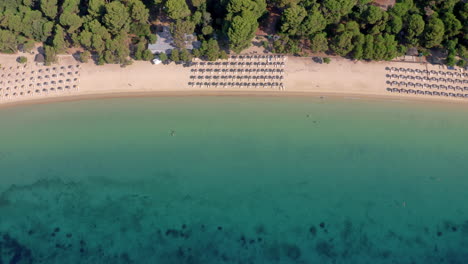 Panoramablick-Auf-Den-Strand-Von-Koukounaries-Auf-Der-Insel-Skiathos,-Griechenland-Mit-Türkisfarbenem-Wasser-In-Der-Nähe-Eines-Pinienwaldes