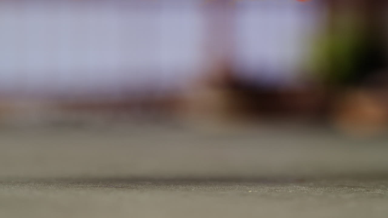 스틱과 함께 연어 수시 조각