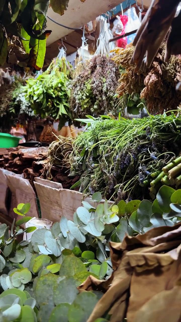 Fresh herbs and dried plants at an indoor market stall, Costa Rica. Eucalyptus, lavender bundles and bark displayed under hanging bunches.