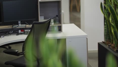 video of office desks, chairs, computers and plant