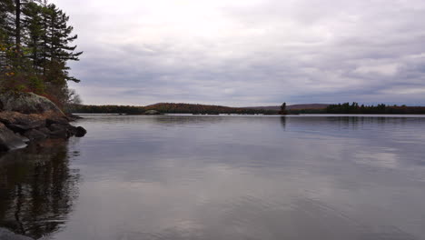 still shot in front of a lake in fall