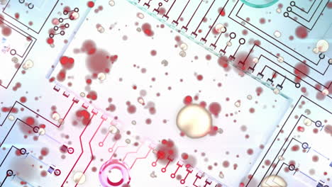 animation of data processing on glowing computer circuit board