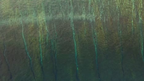 Flying-Over-Tropical-Reef