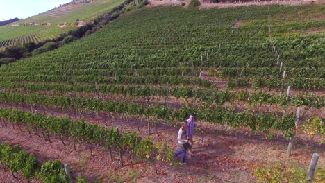 Drone-footage-of-couple-walking