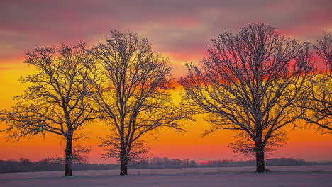 Wunderschöner-Wintersonnenuntergang-Im-Zeitraffer-An-Einem-Ländlichen-Ort