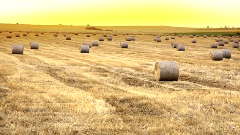 puesta de sol dorada sobre el campo de la granja con balas de heno