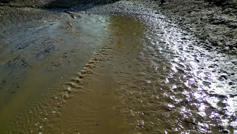 sunlight shimmers on rippling wet mud flats with textured patterns and flowing water
