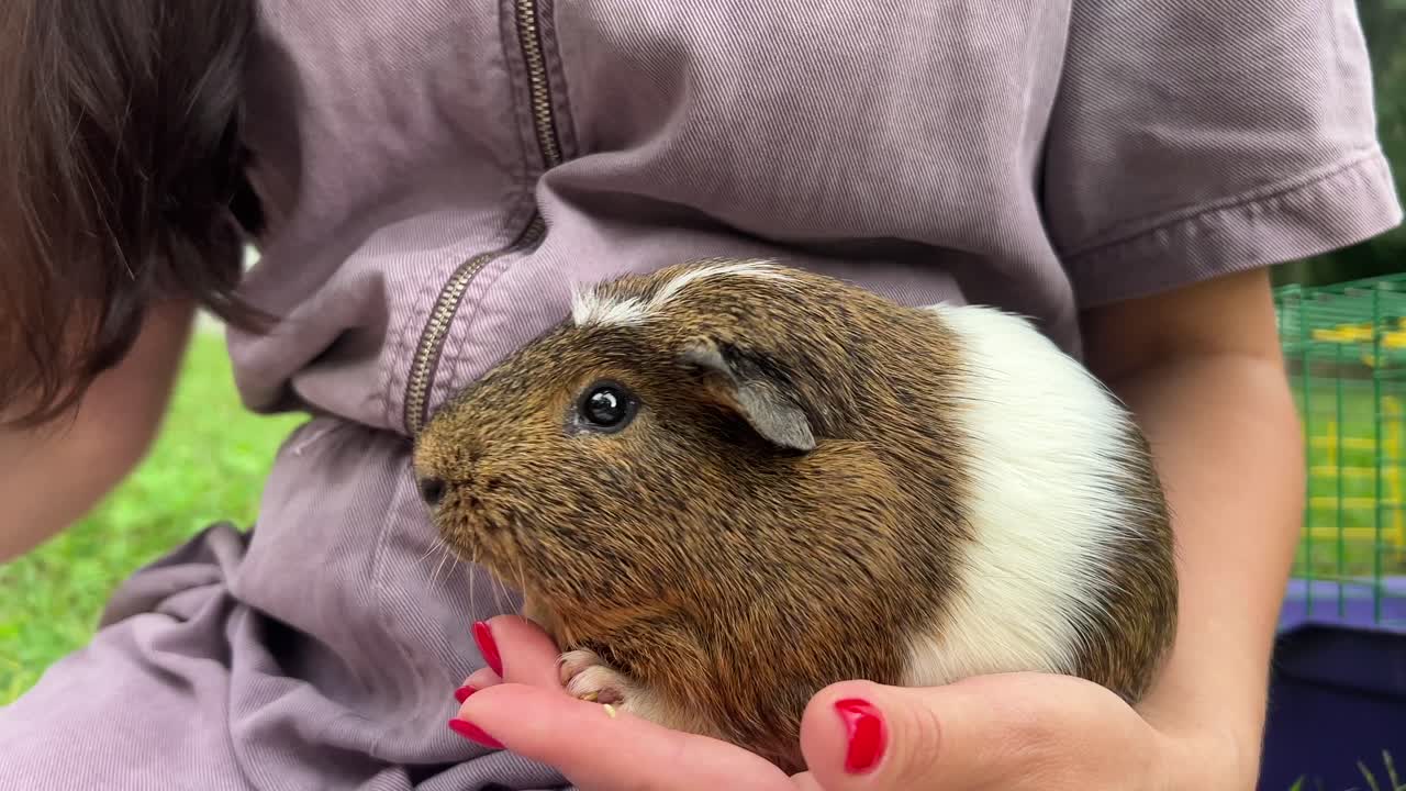 기니피그를 들고 있는 소녀