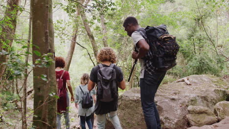 rear view of young friends hiking through countryside walking along path together