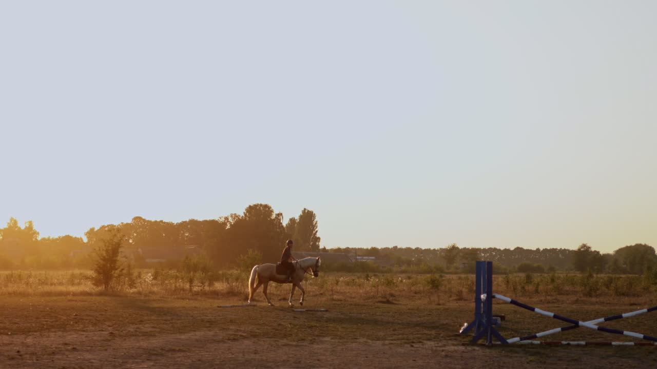 Lezioni di equitazione al tramonto. Una donna cavalca un cavallo in un allevamento. Scuola di equitazione