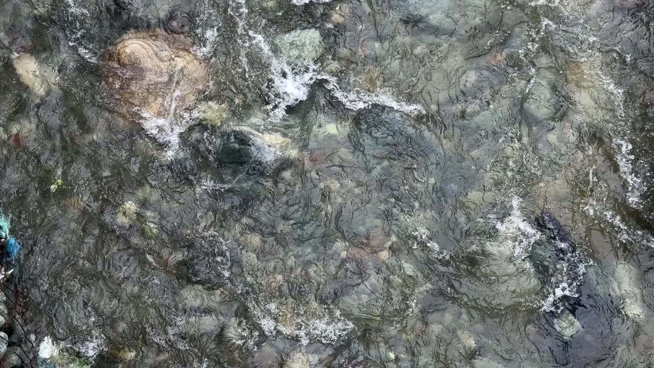 Nature Beauty, Travel Through Kashmir Green Landscapes, Birds, Water, Plants and the Life of Indian Farmers, ploughing bull and Environment Lovers