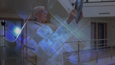 animación de cuadrados azules sobre un médico mayor caucásico con una foto de rayos x